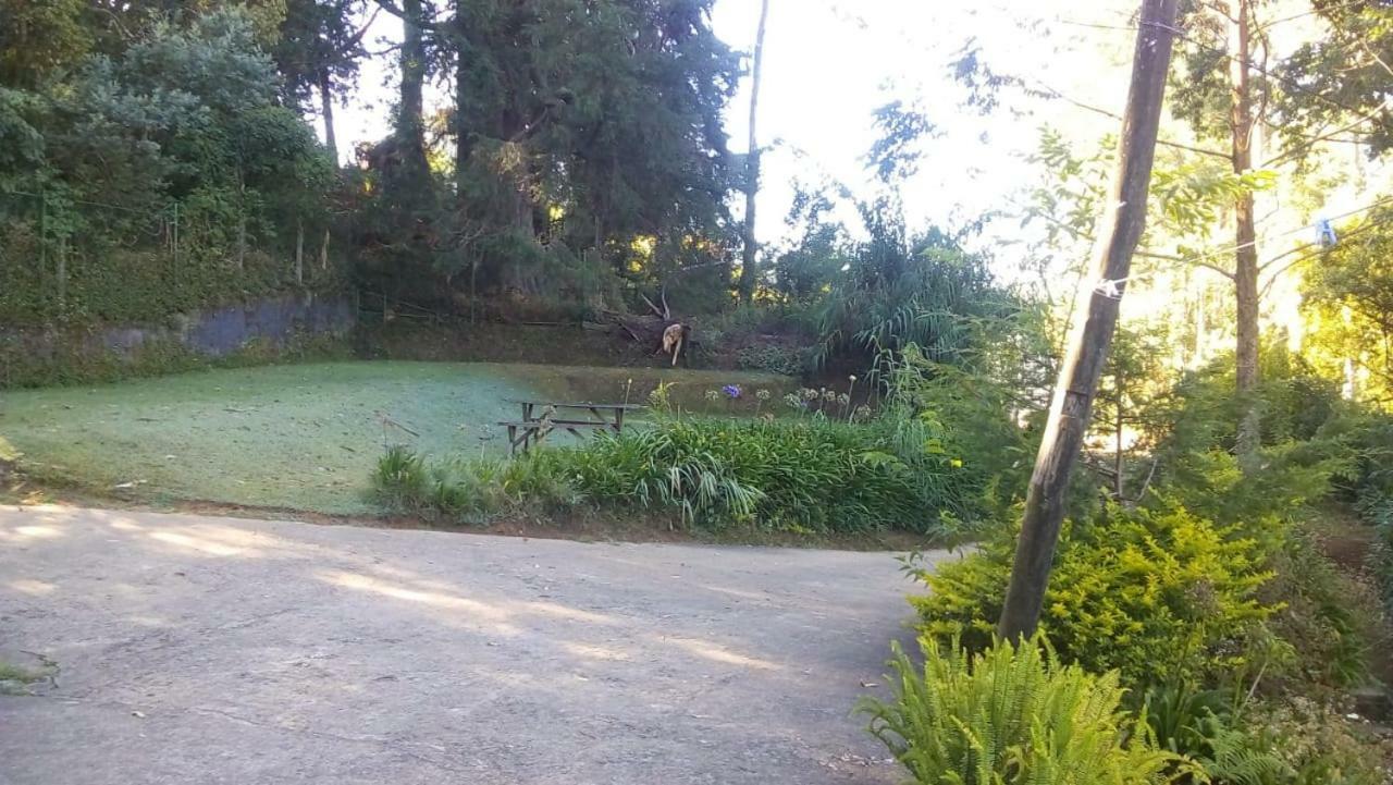 Park View Guest House Nuwara Eliya Exteriör bild